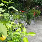 Panoramico شقة أوباتيا