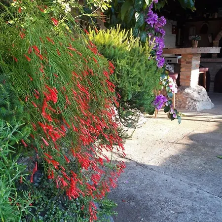 Panoramico Apartman *