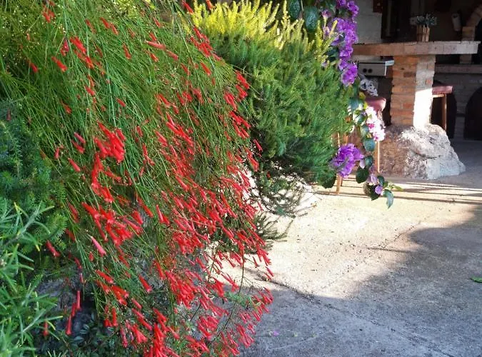 Panoramico Appartement *